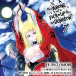 Is It Wrong to Try to Pick Up Girls i..., Fujino Omori