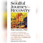 The Soulful Journey of Recovery, Tian Dayton