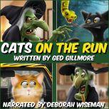 Cats On The Run, Ged Gillmore