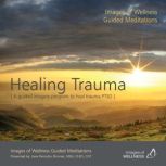 A Guided Imagery Program to Heal Trau..., Jane Ehrman