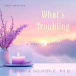 Whats Troubling You?, Zorica Gojkovic Ph.D.
