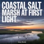 Coastal Salt Marsh at First Light, Sleep Master