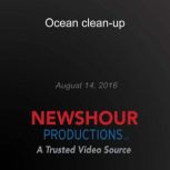 Ocean cleanup, PBS NewsHour