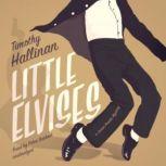 Little Elvises A Junior Bender Mystery, Timothy Hallinan