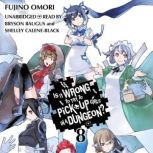 Is It Wrong to Try to Pick Up Girls i..., Fujino Omori