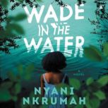 Wade in the Water A Novel, Nyani Nkrumah