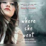 Where She Went, Gayle Forman