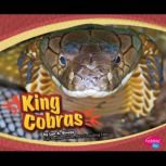 King Cobras, Joanne Mattern