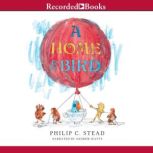 A Home for Bird, Philip C. Stead