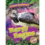 Harpy Eagles, Karen Latchana Kenney