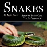 Snakes, Angie Tracks