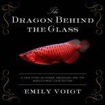 The Dragon Behind the Glass, Emily Voigt