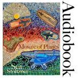 Mosaic of Planes, Sea Stoltzner