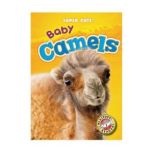 Baby Camels, Megan BorgertSpaniol