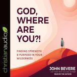 God, Where Are You?!, John Bevere