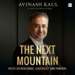 The Next Mountain, Avinash Kaul