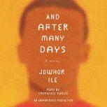 And After Many Days, Jowhor Ile