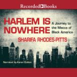 Harlem Is Nowhere, Sharifa RhodesPitts