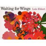 Waiting for Wings, Lois Ehlert