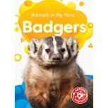 Badgers, Amy McDonald