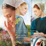 Secrets of Bliss Valley Books 13, Jo Ann Brown