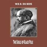 The Souls of Black Folk, W.E.B. Du Bois,Ronald Riley