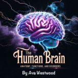 The Human Brain, Ava Westwood
