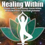 Healing Within Beginner Guide To Reiki Healing, Crystals Healing, Mindful Meditation, 3rd Eye Chakra Activation, Greenleatherr