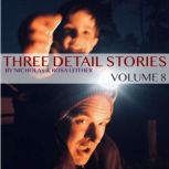 Three Detail Stories, Nicholas Leither