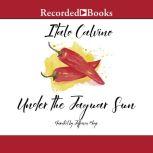 Under the Jaguar Sun, Italo Calvino