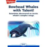 Bowhead Whales with Talent!, Laura Lane