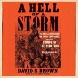 A Hell of a Storm, David S. Brown
