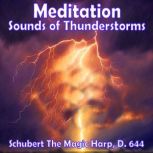 Meditation  Sounds of Thunderstorms ..., Various