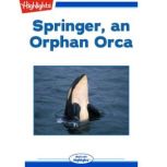 Springer, an Orphan Orca, Sharlene P. Nelson