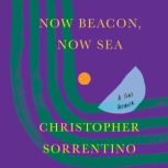 Now Beacon, Now Sea, Christopher Sorrentino