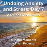 Undoing Anxiety and Stress Day 7, Brian Pederson