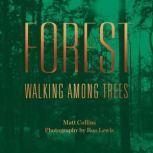 Forest, Matt Collins