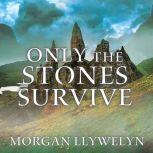 Only the Stones Survive, Morgan Llywelyn