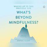 What's Beyond Mindfulness? Waking Up to this Precious Life, Stephen Fulder