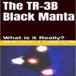 The TR3B Black Manta, Martin K. Ettington