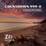 Countdown 9990, ZZZ Sleep