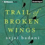 Trail of Broken Wings, Sejal Badani