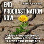 End Procrastination Now Guided Sleep Meditation With Positive Affirmations To Living Your Dream Life, Reigo Vilbiks