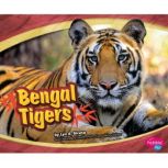 Bengal Tigers, Lyn Sirota