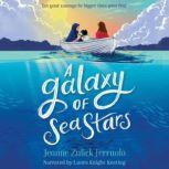 A Galaxy of Sea Stars, Jeanne Zulick Ferruolo