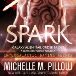 Spark, Michelle M. Pillow