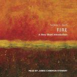 Fire A Very Short Introduction, Andrew C. Scott