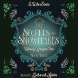Secrets and Snowflakes, S. Usher Evans