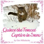 Quince the Tomcat Captive in Snow, Geo Mihalache