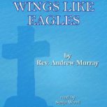 Wings Like Eagles, Andrew Murray